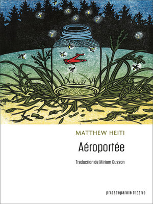 cover image of Aéroportée